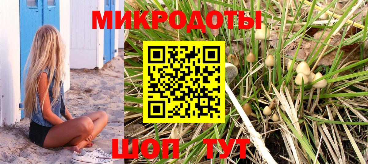 Галлюциногенные грибы Cubensis Дмитров